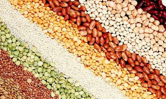 杂粮行业市场供给情况与前景研究2024