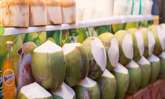 中国椰子行业市场现状及前景趋势分析