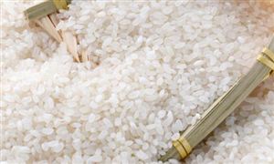 2024大米行业深度发展研究与“十四五”企业投资战略规划 印尼提高大米最高零售价