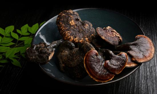 灵芝行业现状及前景分析 灵芝药食同源的开发和应用将会迎来新的突破