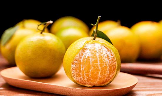 柑橘种植市场现状与产业产值分析