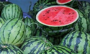 2024西瓜行业市场调查分析及发展前景展望报告 西瓜价格大降每斤跌破个位数