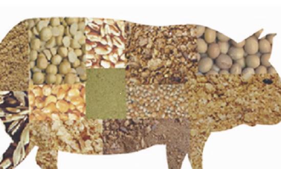 多肽药物行业投资分析：预计2032年市场规模将达达到826亿美元