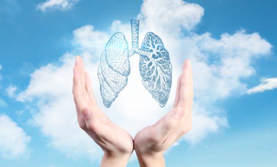 中国人工器官行业市场全景调研及未来发展趋势预测2024