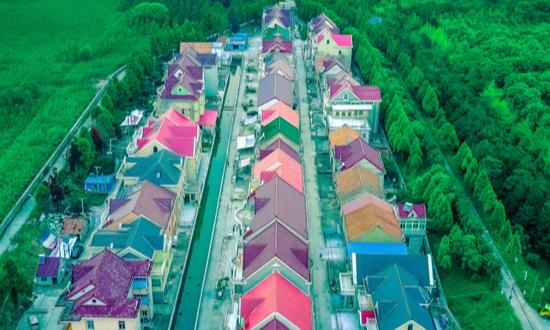 2024年中国乡镇旅游行业市场现状及未来发展趋势分析