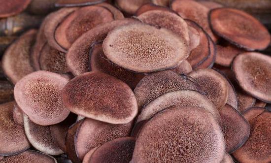 鹿茸产业发展前景与现状分析2024