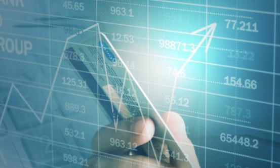 2024中国国际结算行业市场前瞻与未来投资战略分析