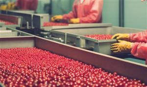 “十五五”河南省食品加工行业前景预测研究