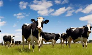 2025年青海省生态农牧业现状与发展趋势分析