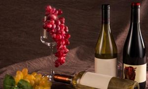 宁夏葡萄酒行业“十五五”规划前景预测研究报告