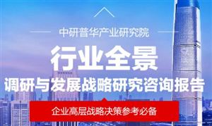 2025年全球海底光缆行业深度分析：现状剖析、趋势研判与“十五五”投资战略