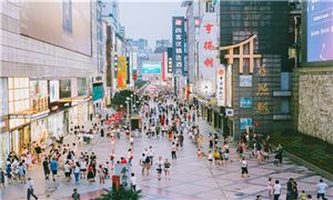 2025年成都OLED屏行业市场发展现状及未来发展前景趋势分析