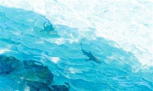 2025年青岛海洋经济行业发展现状与产业链解析