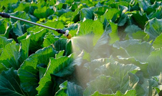 2025年中国喷灌泵市场深度全景调研及投资前景