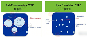 2025-2030年中国PVDF行业全景调研与发展趋势预测分析
