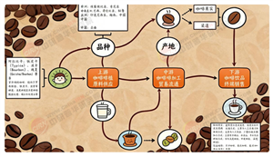 2026-2030年中国咖啡行业市场深度全景调研与投资战略咨询分析