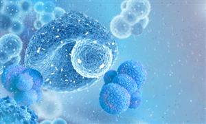 2026再生医学产业深度调研及未来发展趋势预测