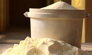 2026年蛋白粉行业发展趋势预测及投资战略研究