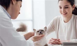 2026年宠物医疗行业市场分析及发展前景预测