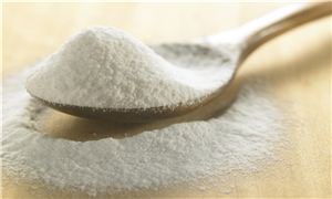 2026年小苏打行业市场现状发展趋势及未来前景展望