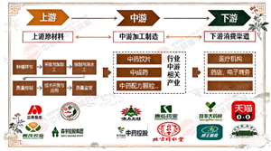2026-2030年中国中药行业市场全景调研与发展前景预测分析
