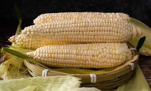 2026年中国农产品流通市场调研与投资风险预测