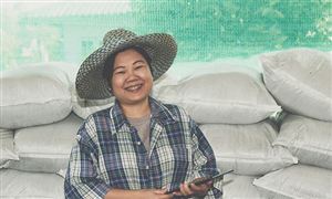 2026年有机肥料行业市场深度调研及投资战略研究