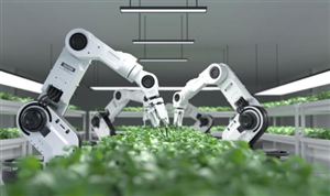 2026年中国机器人行业竞争格局深度解析：技术裂变、场景重构与未来增长极