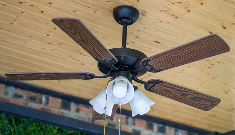 少妇性BBB搡BBB爽爽爽欧美