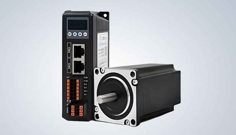 少妇性BBB搡BBB爽爽爽欧美