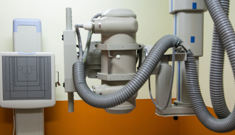 少妇性BBB搡BBB爽爽爽欧美