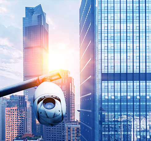 少妇性BBB搡BBB爽爽爽欧美