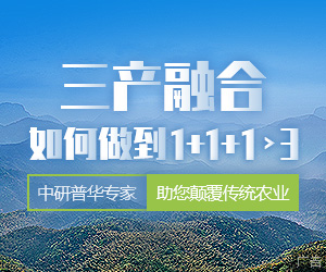 农业生产+农业加工+农业服务产业规划