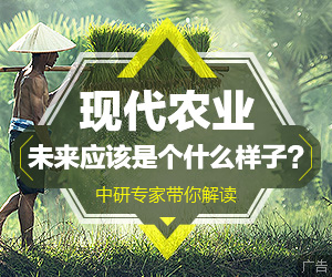 现代农业投资规划