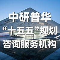 中研普华十五五规划设计咨询机构