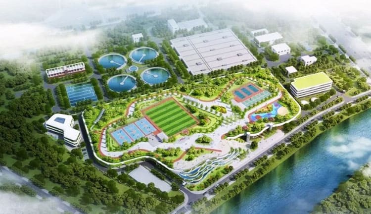 少妇性BBB搡BBB爽爽爽欧美