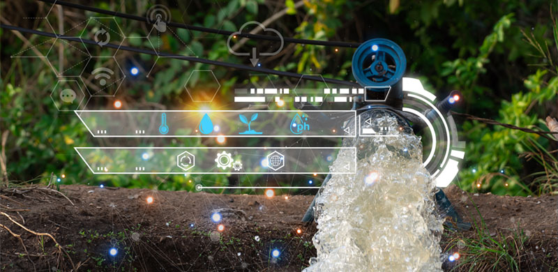 少妇性BBB搡BBB爽爽爽欧美