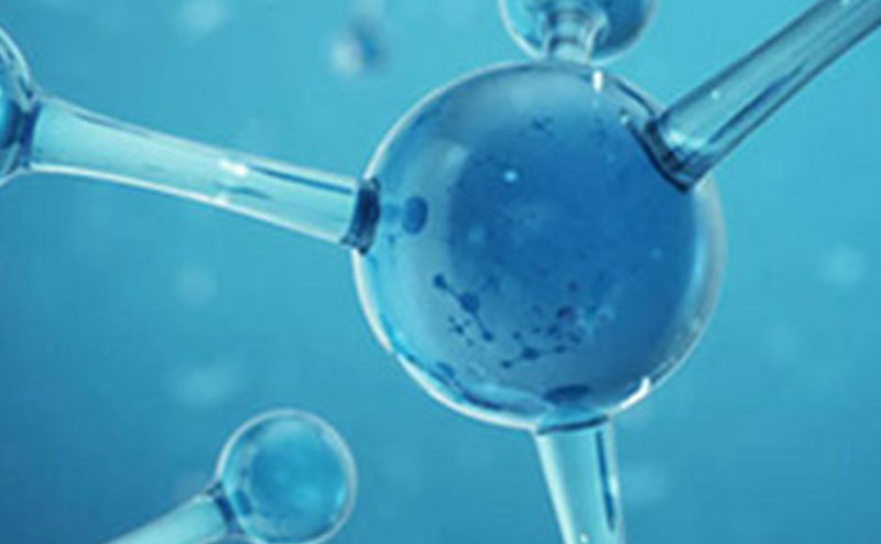 少妇性BBB搡BBB爽爽爽欧美