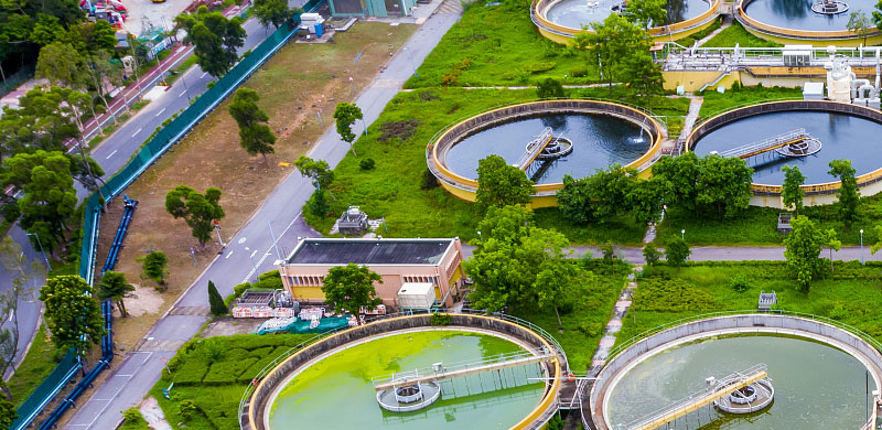 少妇性BBB搡BBB爽爽爽欧美