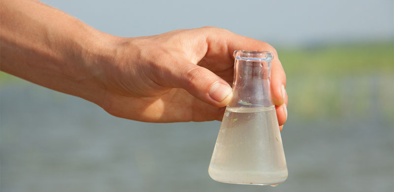 少妇性BBB搡BBB爽爽爽欧美