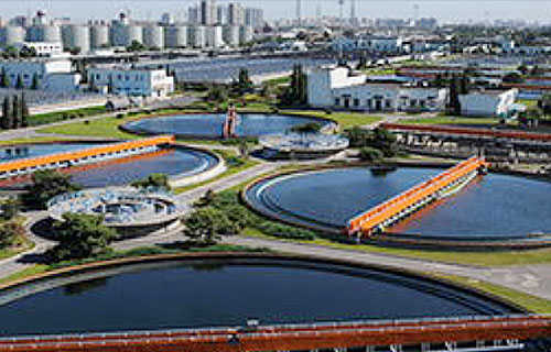 少妇性BBB搡BBB爽爽爽欧美