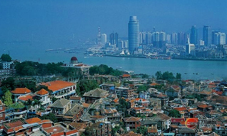 少妇性BBB搡BBB爽爽爽欧美