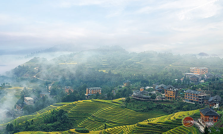 少妇性BBB搡BBB爽爽爽欧美