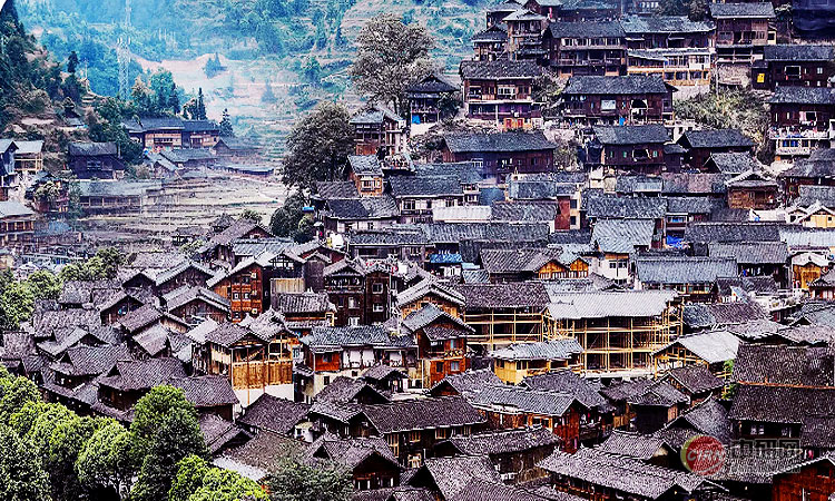 少妇性BBB搡BBB爽爽爽欧美