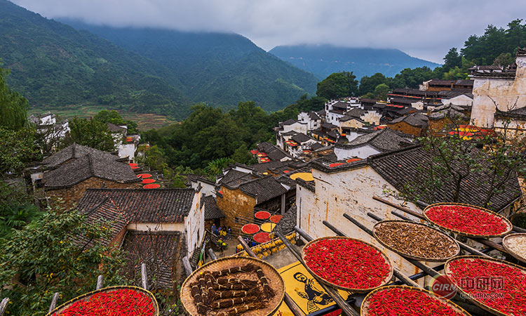 少妇性BBB搡BBB爽爽爽欧美