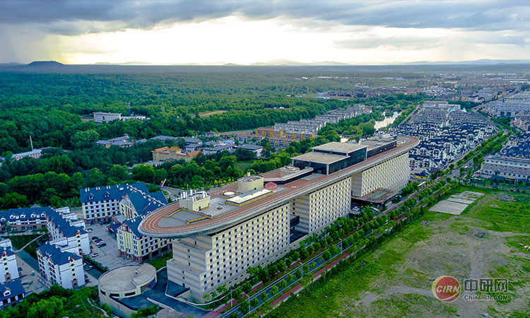 少妇性BBB搡BBB爽爽爽欧美