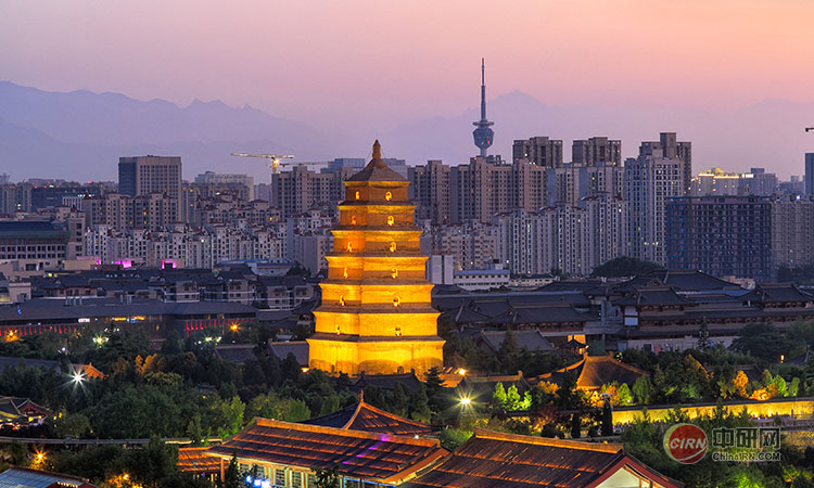 少妇性BBB搡BBB爽爽爽欧美