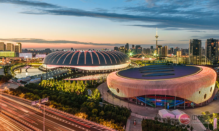 少妇性BBB搡BBB爽爽爽欧美