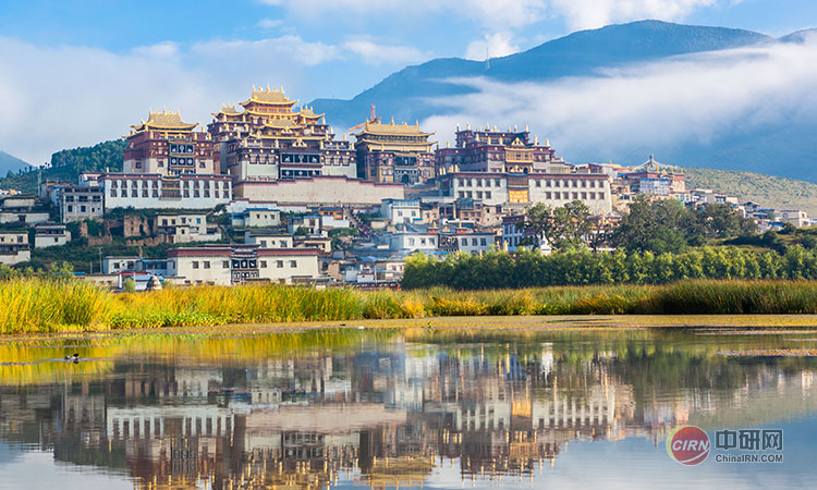 少妇性BBB搡BBB爽爽爽欧美