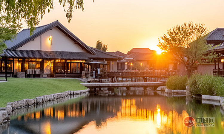 少妇性BBB搡BBB爽爽爽欧美